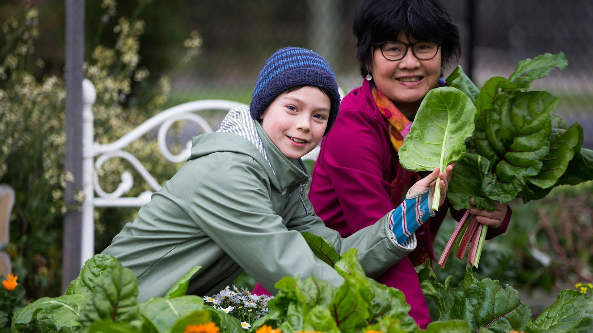 A young boy and woman in a community vegitable garden